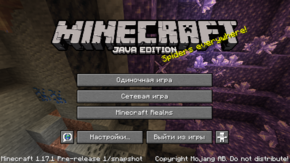 Java Edition 1.17.1 Pre-release 1.png